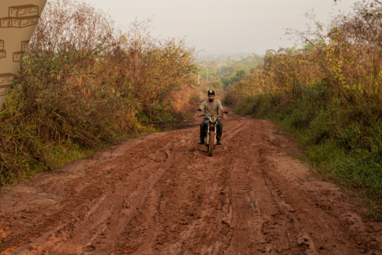 Vanishing Forests