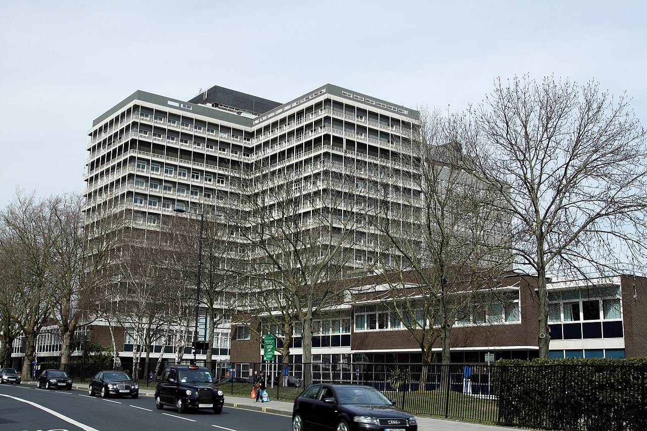 Architectural Origins: The Decimus Burton Hospital Structure (1831, 1973)