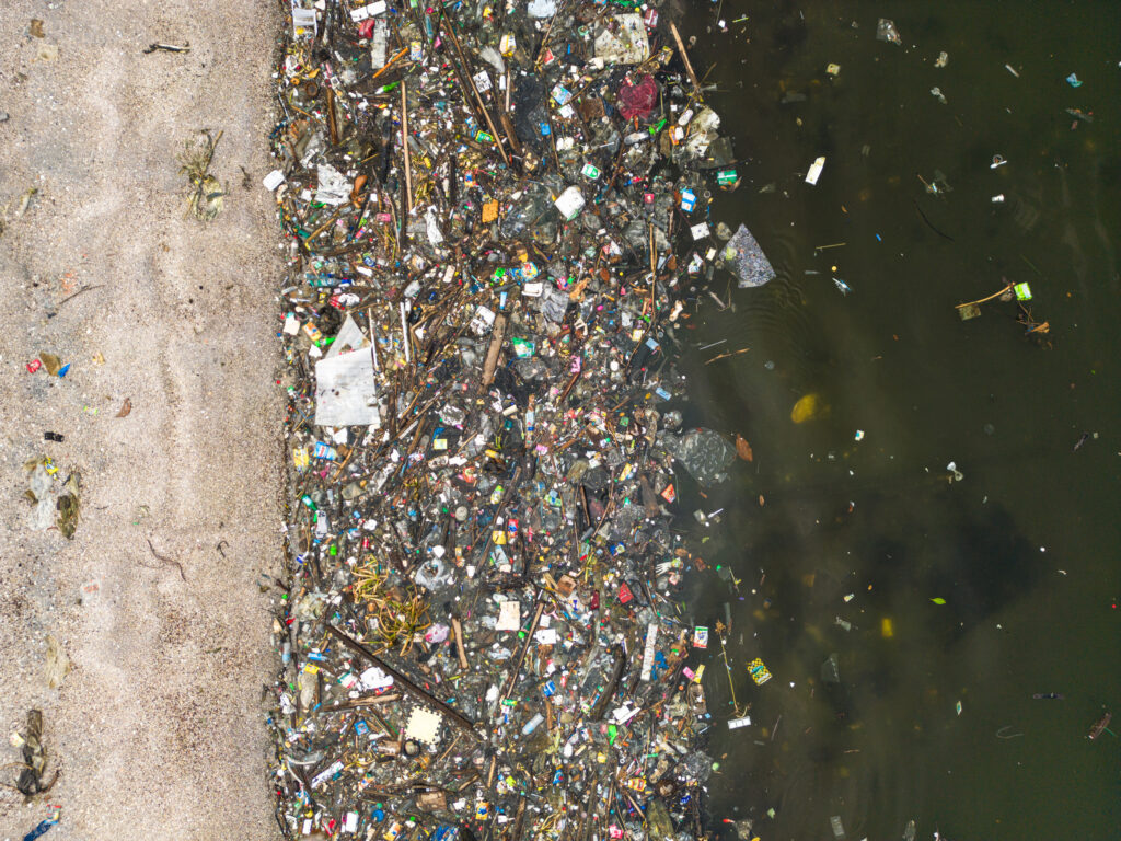 Double Standards: Lobbying Against Sachet Bans in the Philippines and India