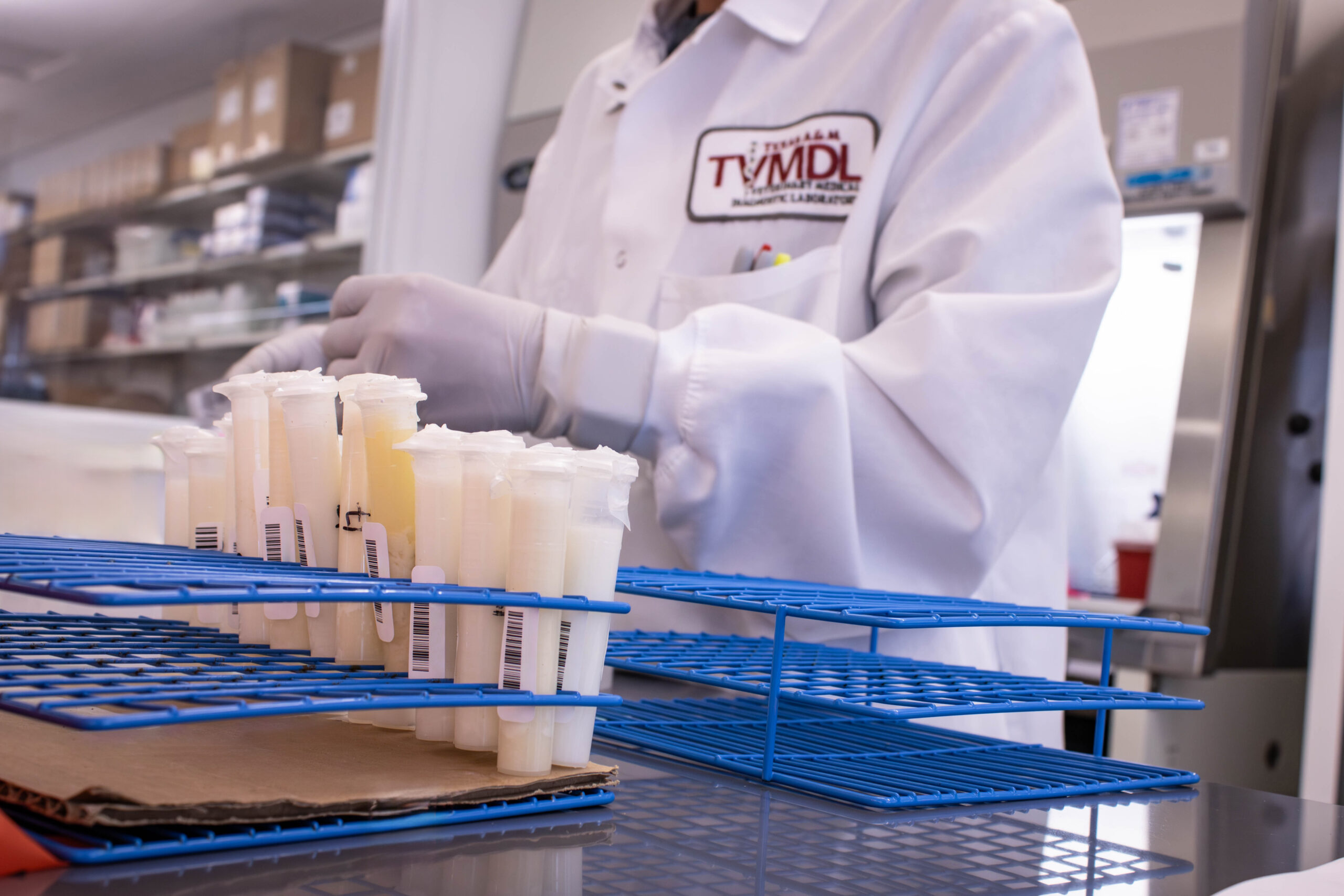 The Regulatory Gap: 34 Days of Unchecked Transit