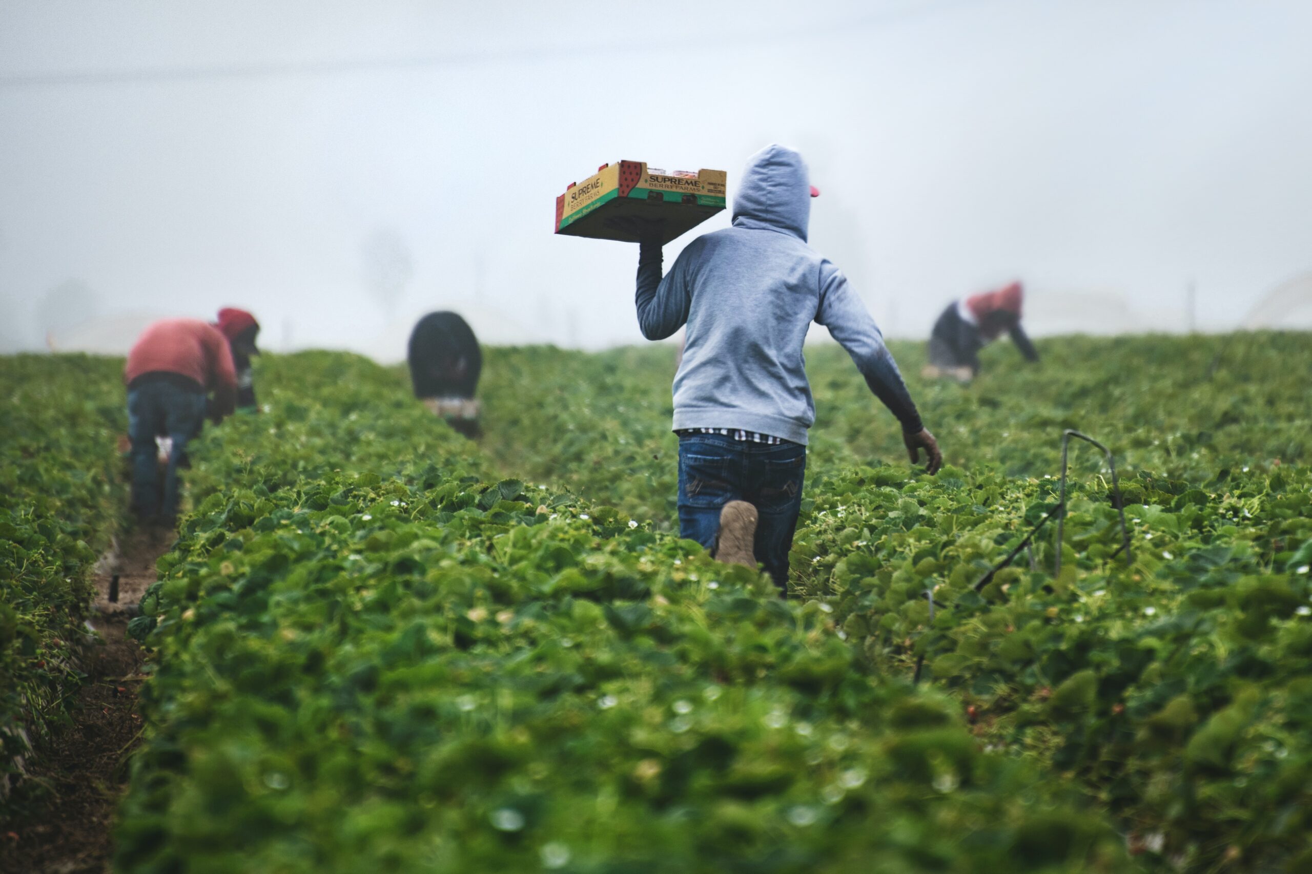 The "Deprivation Scheme": Withholding Hygiene Basics to Force Detainee Work